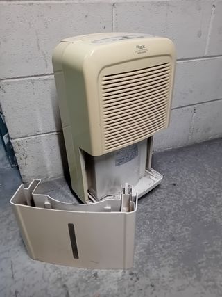 Deumidificatore Rex Electrolux