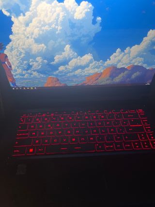 Portátil MSI Gaming Negro/Rojo