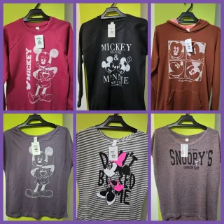 6 ARTÍCULOS CON ETIQUETA.Sudaderas y camisetas.T/M