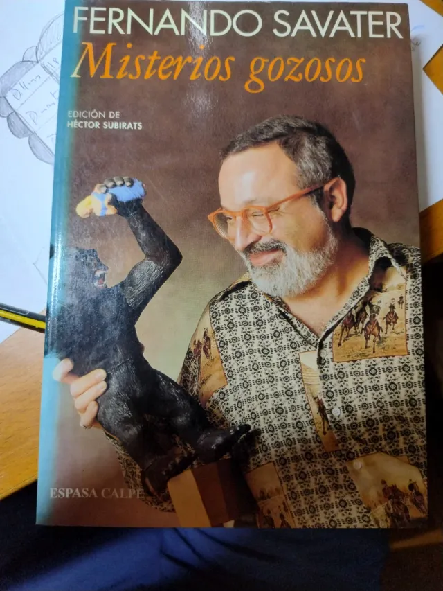 Misterios gozosos (Spanish Edition)