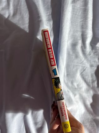 My Hero Academia nº 01