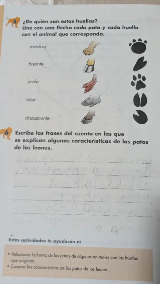 ZOO ZOO aprendiendo a leer 6 años