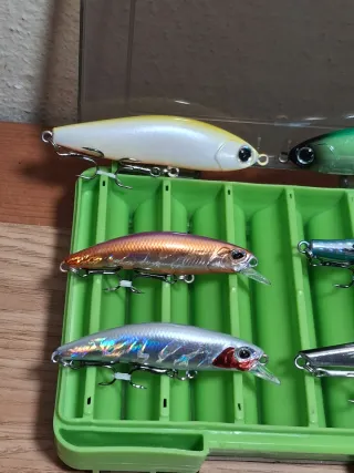 Señuelos de Pesca