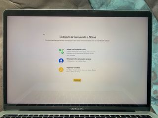 Pantalla MacBook Pro 13” A1708