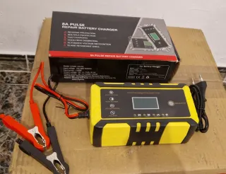 Cargador Batería Coche 8A Pulse