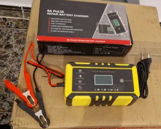 Cargador Batería Coche 8A Pulse