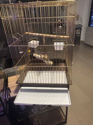 Gabbia per piccoli pappagalli