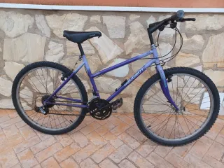 Bicicleta Montaña