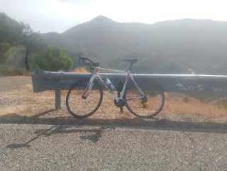 Bicicleta Ridley Fénix SL