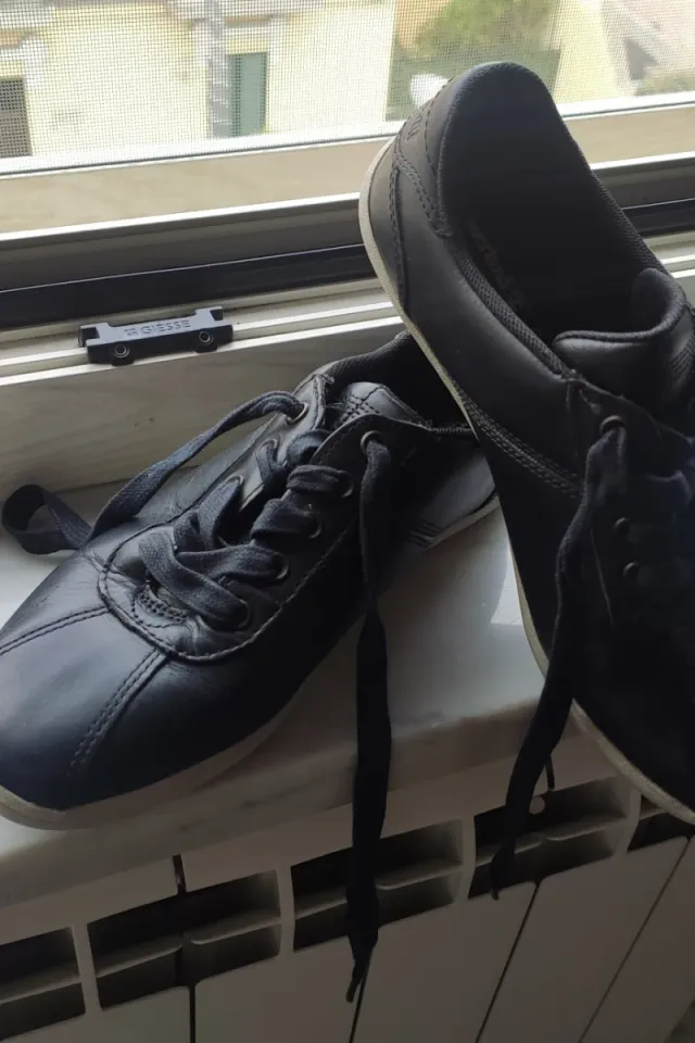 Timberland Sneakers Donna Nere numero 37