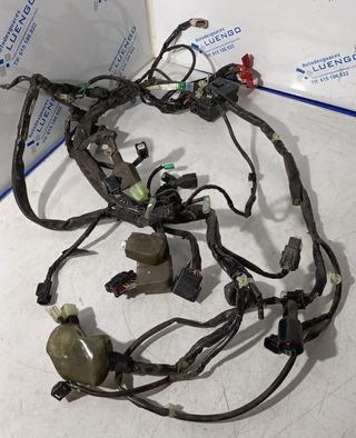 Cableado Honda PCX 125 ABS 2022