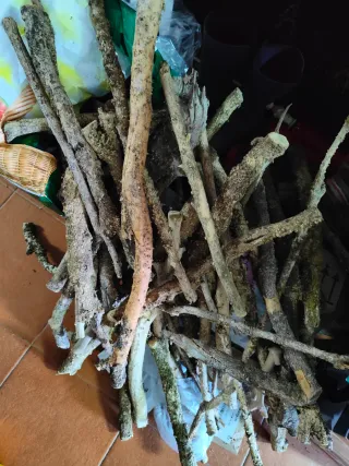 Madera de boj natural