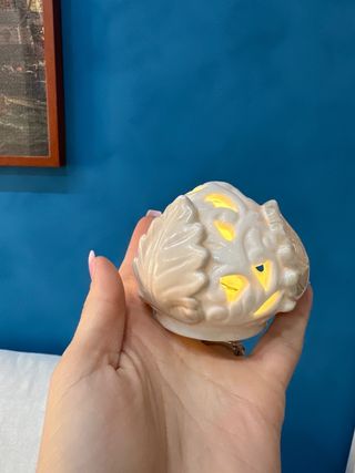 Pumo luminoso in ceramica