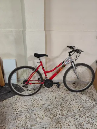Bicicleta de montaña 