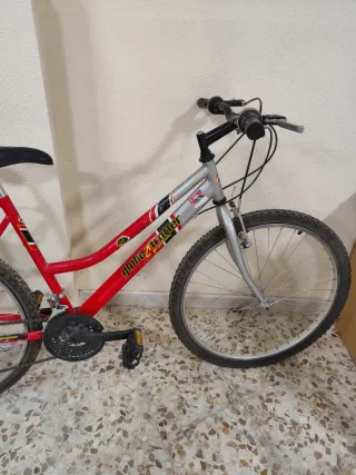 Bicicleta de montaña 