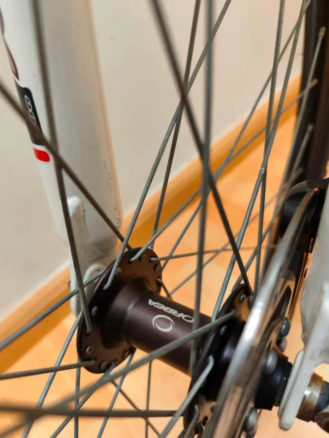 Bicicleta Montaña MTB Orbea Sport 