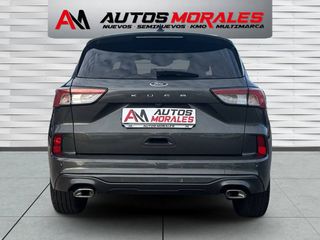 Ford Kuga ST LINE 150CV