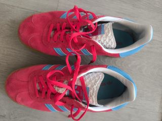 Adidas Gazelle Bold Indoor Rojas y Azules