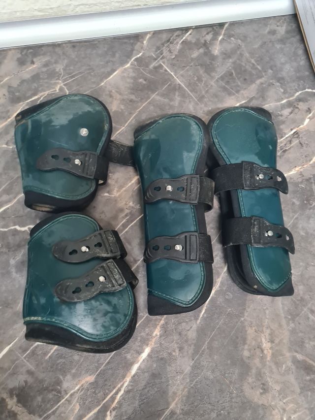 Protectores de caballo verdes