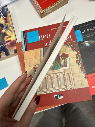 El asesinato del profesor de matemáticas (El du...