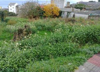 Terreno en venta en Burela