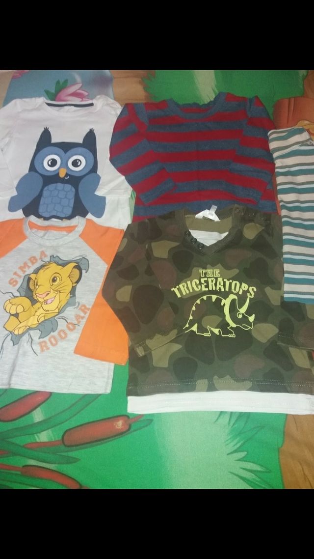 Lote Ropa Bebé 12-18 Meses