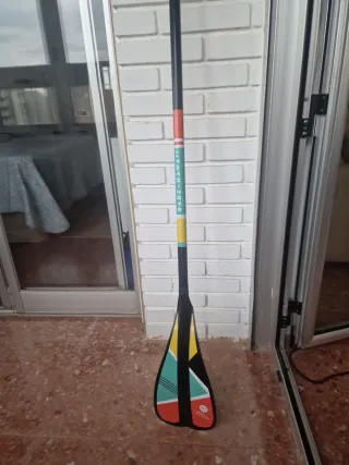 Remo pala de carbono niño Radz Hawaii