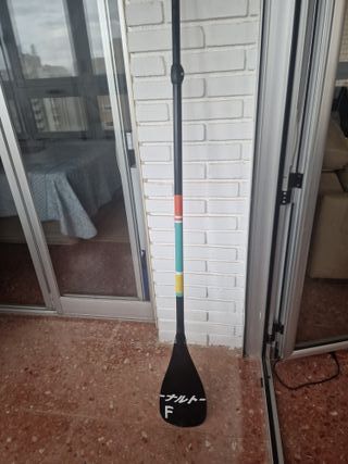 Remo pala de carbono niño Radz Hawaii