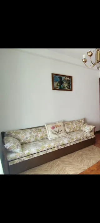 Sofá Cama Tela y Madera