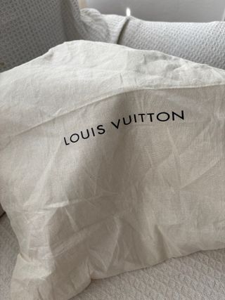 Bolso Louis Vuitton Marrón y Negro
