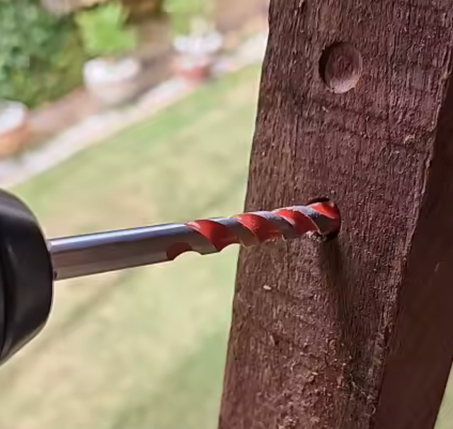 Juego de Siete Brocas 