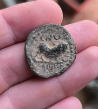 Moneda Antigua Semis de Castulo