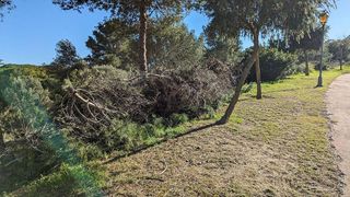 Terreno en venta en Sotogrande Alto en San Roque