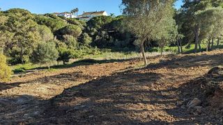 Terreno en venta en Sotogrande Alto en San Roque