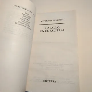 Caballo en el salitral (Libro amigo) (Spanish E...