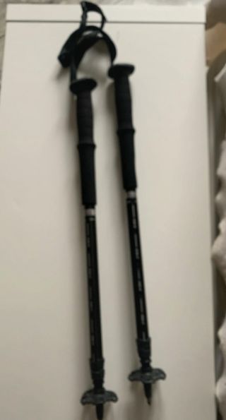 Palos de trekking negros