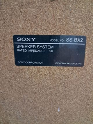 Altavoces Sony Negros y Plateados,25E cada uno.