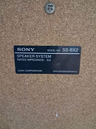 Altavoces Sony Negros y Plateados,25E cada uno.