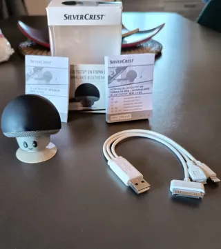 Cassa Bluetooth SilverCrest