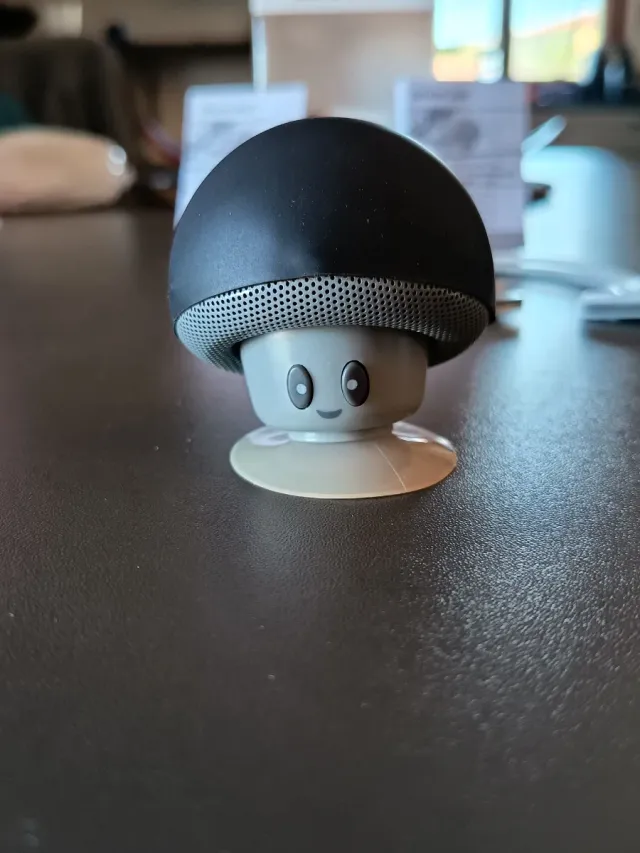 Cassa Bluetooth SilverCrest