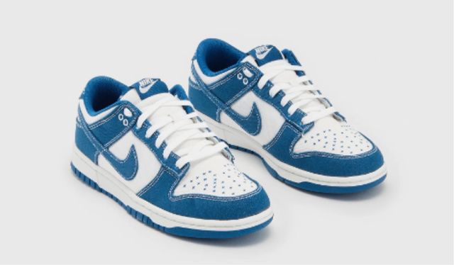 Zapatillas Nike Dunk Low Azul y Blanco