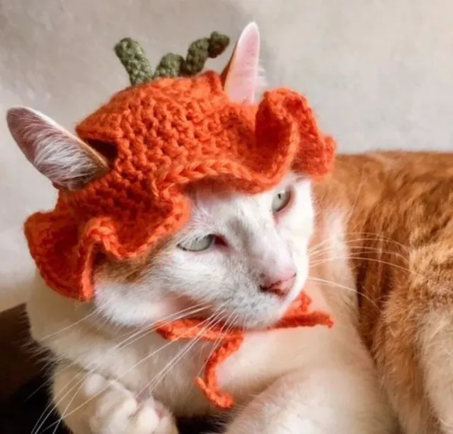 Gorro Crochet Calabaza Halloween Gatos