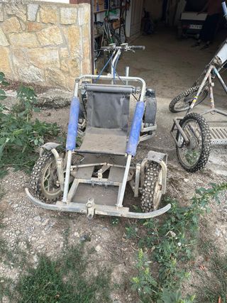 MUSHING. VENDO KART DYCK LENNO. 