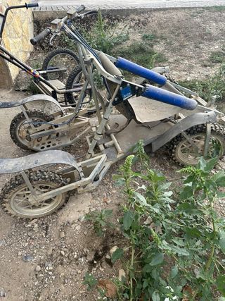 MUSHING. VENDO KART DYCK LENNO. 