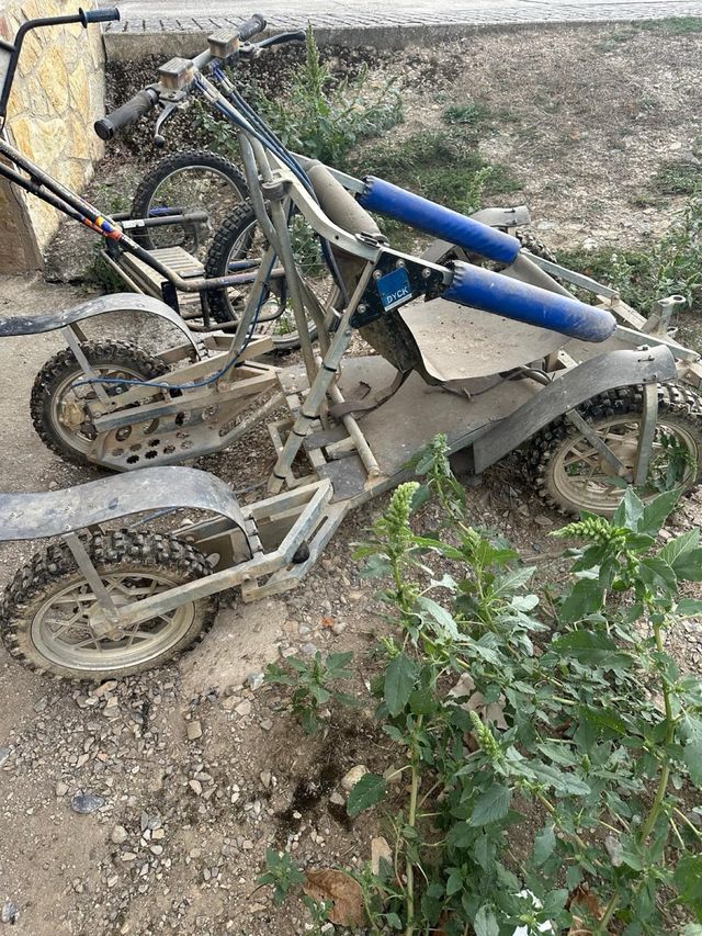 MUSHING. VENDO KART DYCK LENNO. 