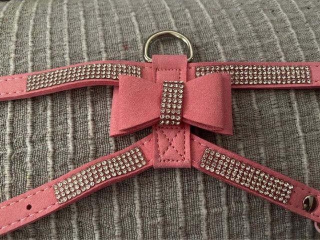 Pettorina per cani con fiocco e strass taglia S