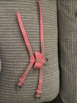 Pettorina per cani con fiocco e strass taglia S