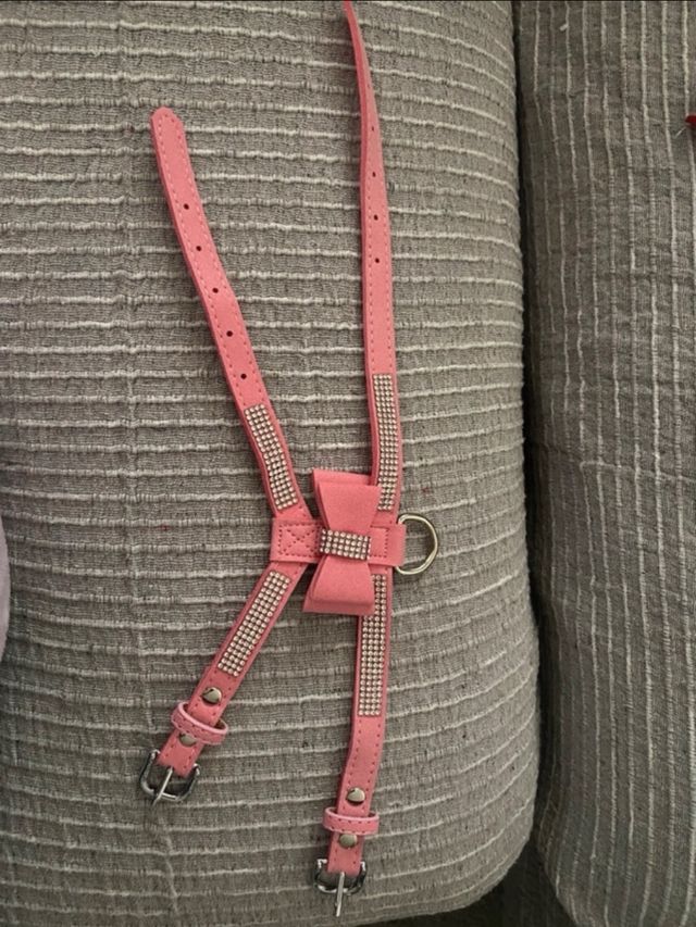 Pettorina per cani con fiocco e strass taglia S