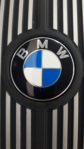 Tapa Motor BMW V8 X5 E70 2009