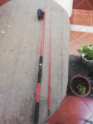 Pesca cefalopodos 